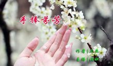 那也是一种芬芳