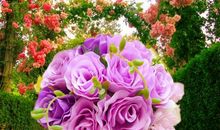 相信自己的眼睛