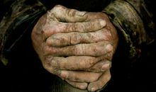 有一种生命叫母爱