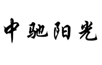 书法的阳光