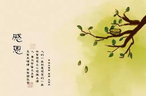 感恩之花盛开在青春的道路上