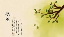 感恩的花开在青春的路上