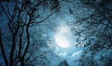 “第一次”走夜路