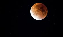 那个黑色的傍晚