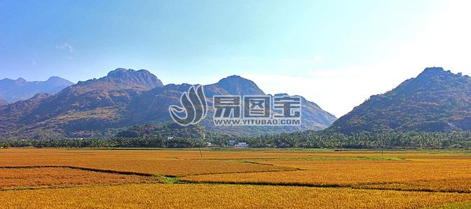 美丽的乡村风光