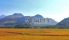 美丽的田园风光