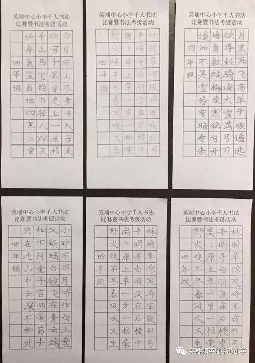 误报（屈一涵）_600字