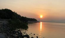 黑夜里的一屡阳光