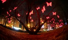 彼岸，星光璀璨