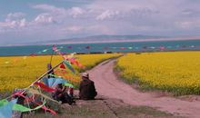 将“走”进行到底