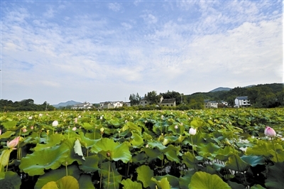 乡村魅力
