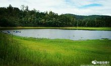 我的家乡一个纯朴美丽的地方