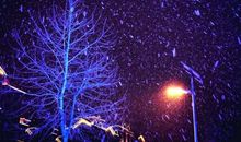 雪片勾起的回忆