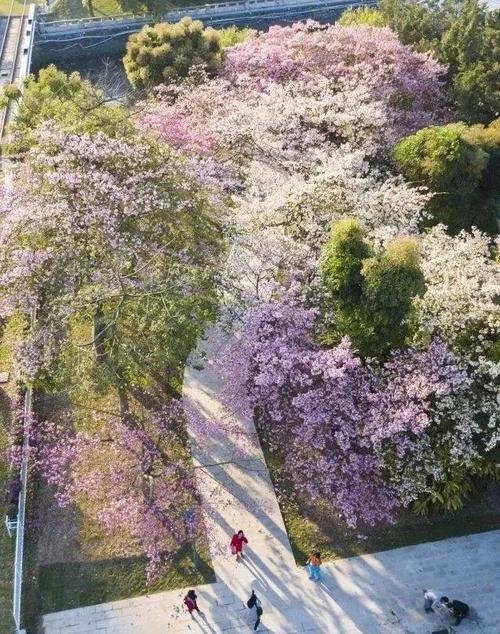 有一个美女叫四个季节