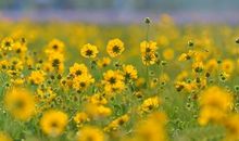 今年春天我很快乐