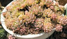 成长需要慢慢来