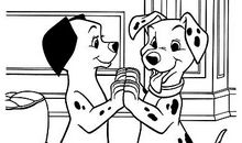 小狗咪咪照镜子