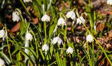 我被这个春天唤醒