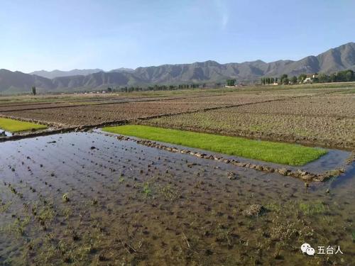 一条小河的故事