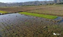 一条小河的自述