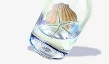 海上漂流瓶_550字