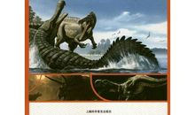 我真希望生命轮回