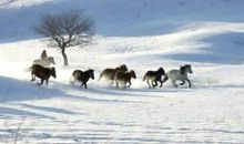 走过心灵的冬天