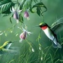 我想与四个季节共舞