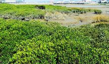 友善是一道靓丽的风景线