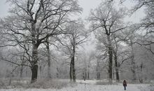 冬日里的一份情