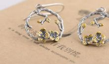 漂不起来的金耳环_500字