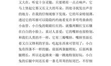 可爱的小兔子作文