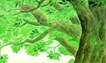 生活因快乐而精彩