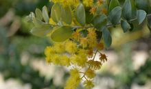 敲响生命的第一首歌