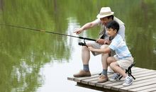 坦然就是生活的美丽