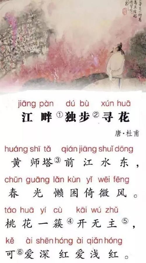 每天都是一首诗