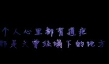 [期中征文]难忘的目光_750字