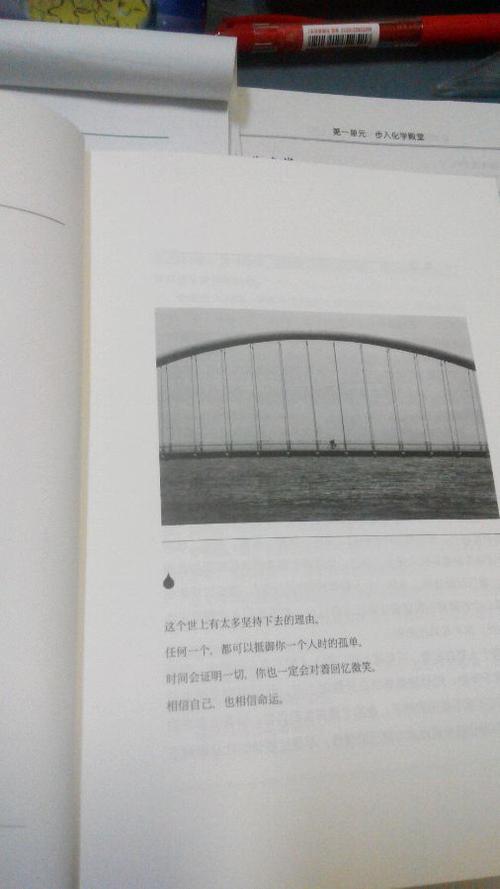 我再次振作起来