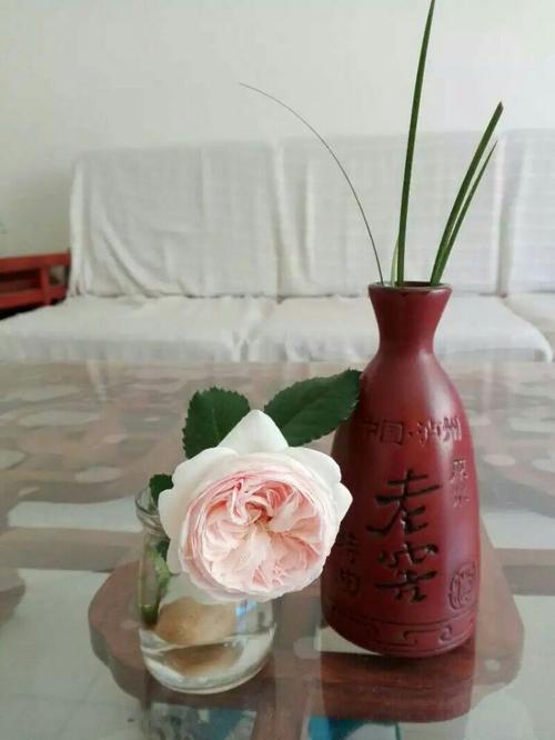 我会珍惜花朵盛开和秋天