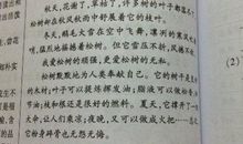 校园的早晨作文300字