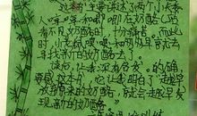 愤怒的象群读后感