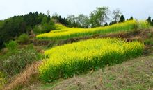 走在旧时的乡间小路上