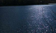 我的天堂我的水