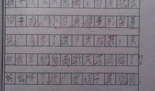 可爱的小白兔作文