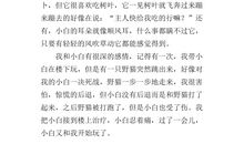 可爱的小白兔作文100字