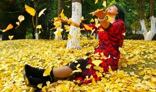 在翻飞的思绪中前行