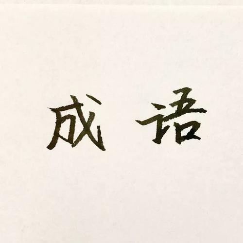 有趣的成语