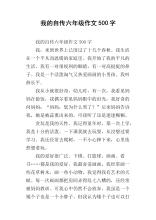 我的自传作文500字