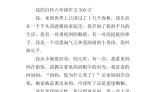 我的自传作文500字