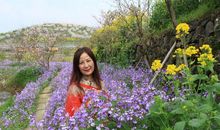 爱像春光般温暖